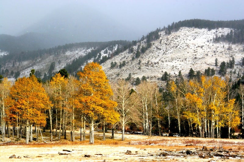 Rocky Mountains